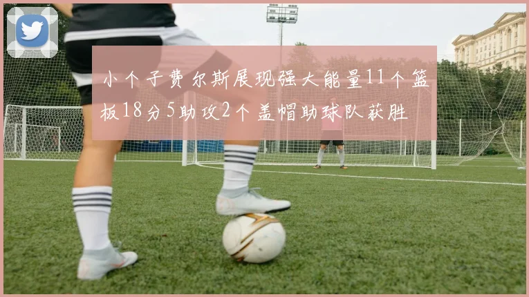 小个子费尔斯展现强大能量11个篮板18分5助攻2个盖帽助球队获胜