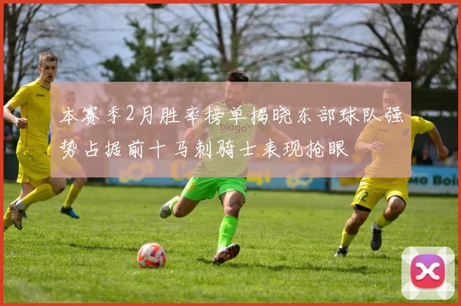 本赛季2月胜率榜单揭晓东部球队强势占据前十马刺骑士表现抢眼